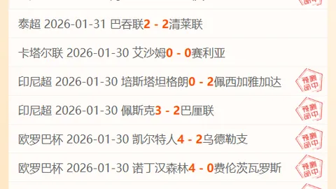 沈阳铁西体育场升级为专业足球场，四万座场馆成城市新亮点