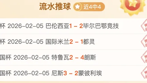 藏历新年年货盛宴：喜庆新春，传承风韵现新颜