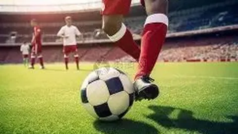 双色球2026026期开奖结果回顾及查询